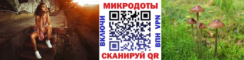 даркнет сайт Петровск Галлюциногенные грибы Psilocybe