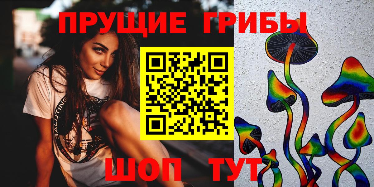 Псилоцибиновые грибы Psilocybine cubensis  Вход с VPN  Петровск 