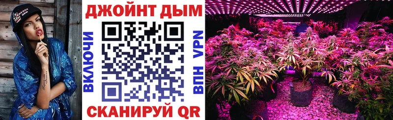 Конопля White Widow продажа наркотиков Петровск